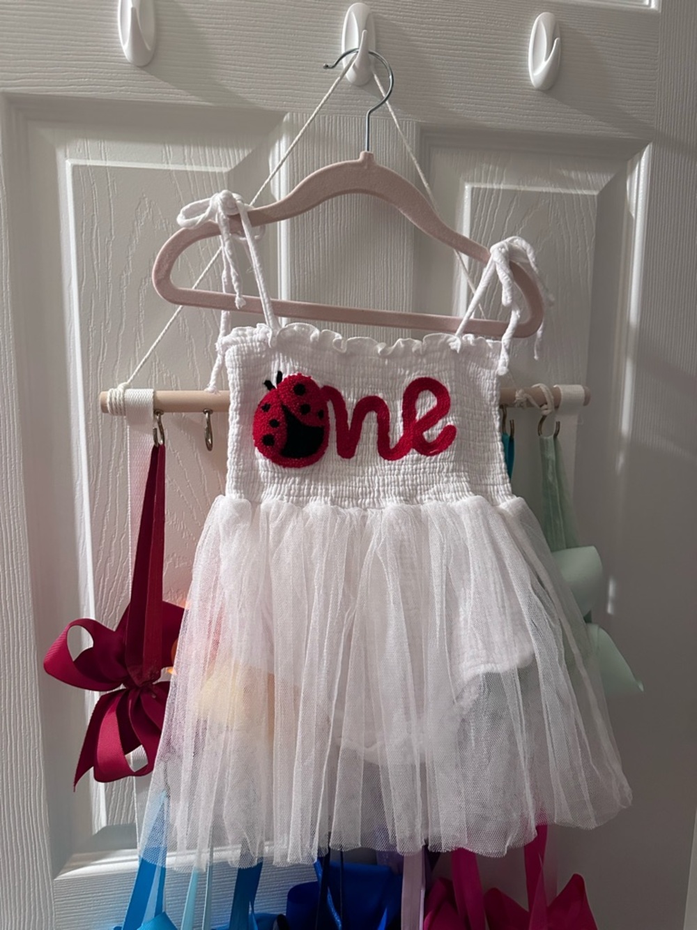 First Birthday One Embroidered Ladybug Party Outfit